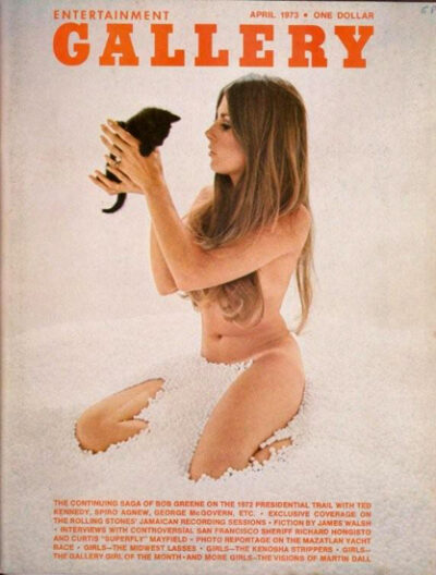 Gallery Vol.1 No.6, 1973