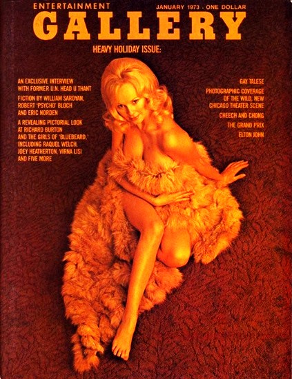 Gallery Vol.1 No.3, 1973 — cover