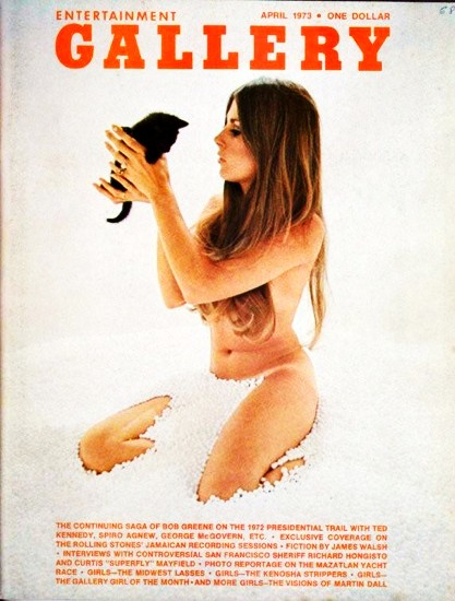 Gallery Vol.1 No.6, 1973 — cover
